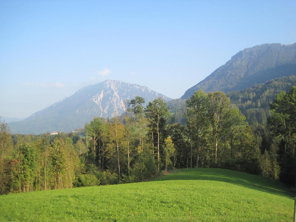 Апартаменты Almbauernhof Рупольдинг Экстерьер фото